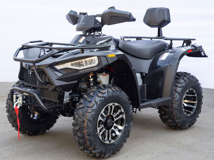 Terminator 300cc (NEW EFI Model) Utility 4x4 ATV, Fully-Automatic with Reverse - Image 5