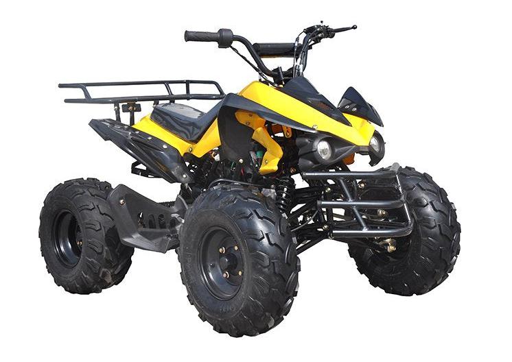 Tonga 125cc Kids Sport ATV, 8-inch Wheels, Automatic with Reverse, Ages 8 and up