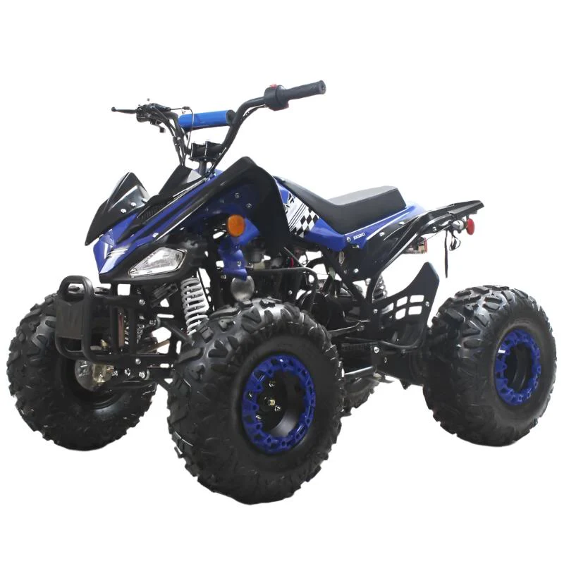 Tonga 125cc Kids Sport ATV, 8-inch Wheels, Automatic with Reverse, Ages 8 and up - Image 2