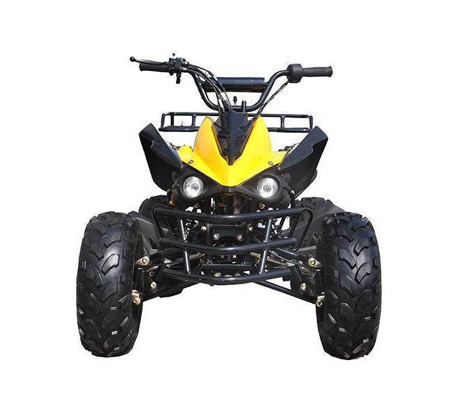 Tonga 125cc Kids Sport ATV, 8-inch Wheels, Automatic with Reverse, Ages 8 and up - Image 6