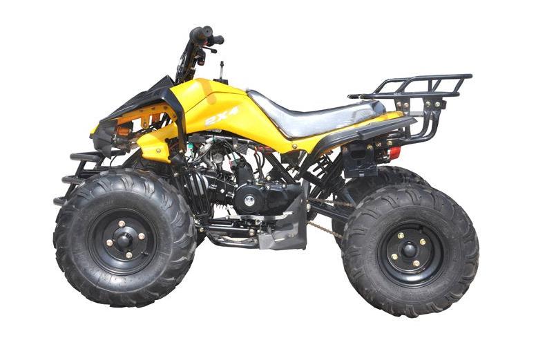 Tonga 125cc Kids Sport ATV, 8-inch Wheels, Automatic with Reverse, Ages 8 and up - Image 7