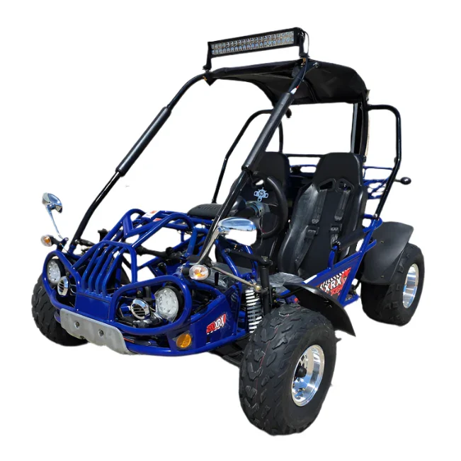 TrailMaster 200 XRX Deluxe Buggy Go Kart, Alloy Wheels, Lights, Turn Signals - Image 7
