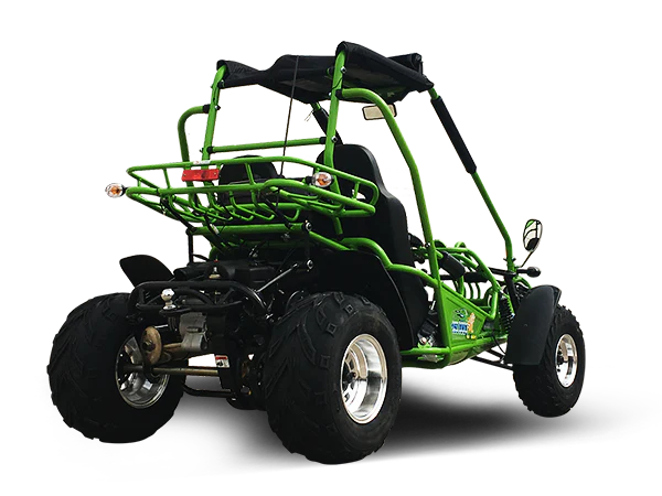 TrailMaster 200 XRX Deluxe Buggy Go Kart, Alloy Wheels, Lights, Turn Signals - Image 9
