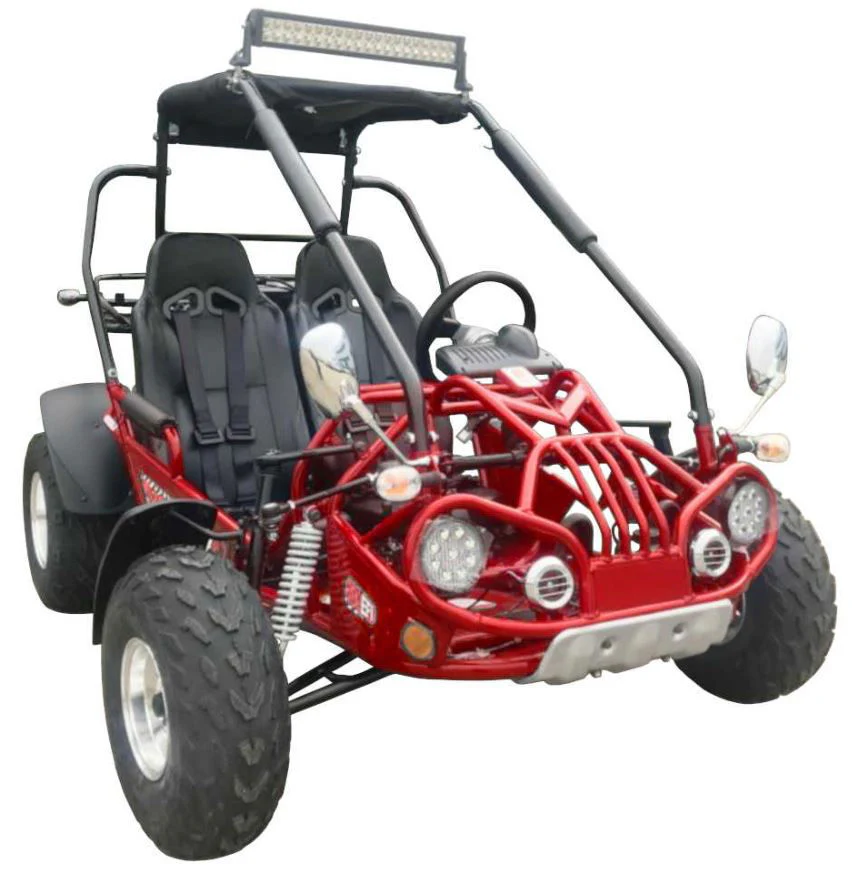 TrailMaster 200E XRX (EFI) Fuel Injection Deluxe Buggy Go Kart, Alloy Wheels, Lights, Turn Signals - Image 5