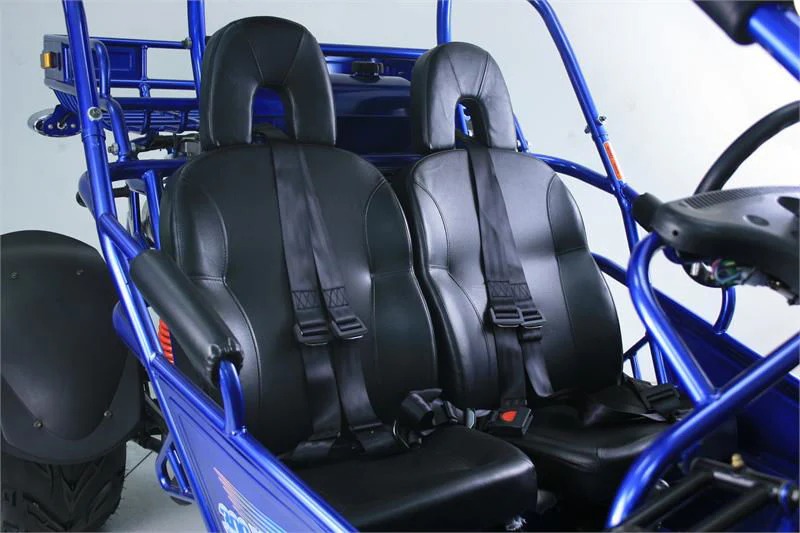 TrailMaster 300 XRX-E Dune Buggy Go Kart, EFI Fuel Injected, Liquid Cooled, Shaft Drive, Alloy Wheels - Image 12