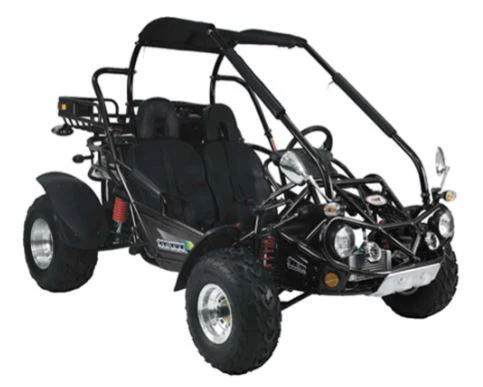 TrailMaster 300 XRX-E Dune Buggy Go Kart, EFI Fuel Injected, Liquid Cooled, Shaft Drive, Alloy Wheels - Image 3