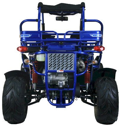 TrailMaster 300 XRX-E Dune Buggy Go Kart, EFI Fuel Injected, Liquid Cooled, Shaft Drive, Alloy Wheels - Image 6