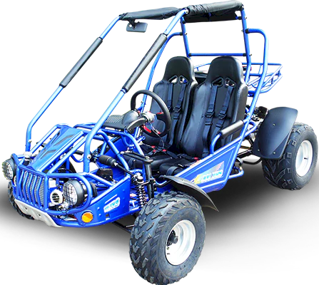 TrailMaster 300E XRS (EFI) Dune Buggy Go Kart, Liquid Cooled, Chain Drive - Image 12