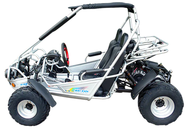 TrailMaster 300E XRS (EFI) Dune Buggy Go Kart, Liquid Cooled, Chain Drive - Image 3
