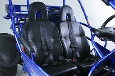TrailMaster 300E XRS (EFI) Dune Buggy Go Kart, Liquid Cooled, Chain Drive - Image 8