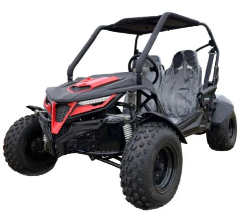 TrailMaster Cheetah 200E EFI Buggy Go Kart, CVT Automatic with Reverse - Image 4