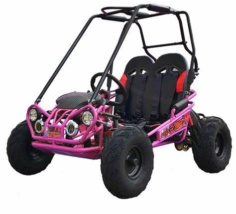 TrailMaster MINI XRX+ Kids GoKart, 5.5hp Gas Engine with Electric Start, Remote Start/Kill, Ages 4-9 - Image 5