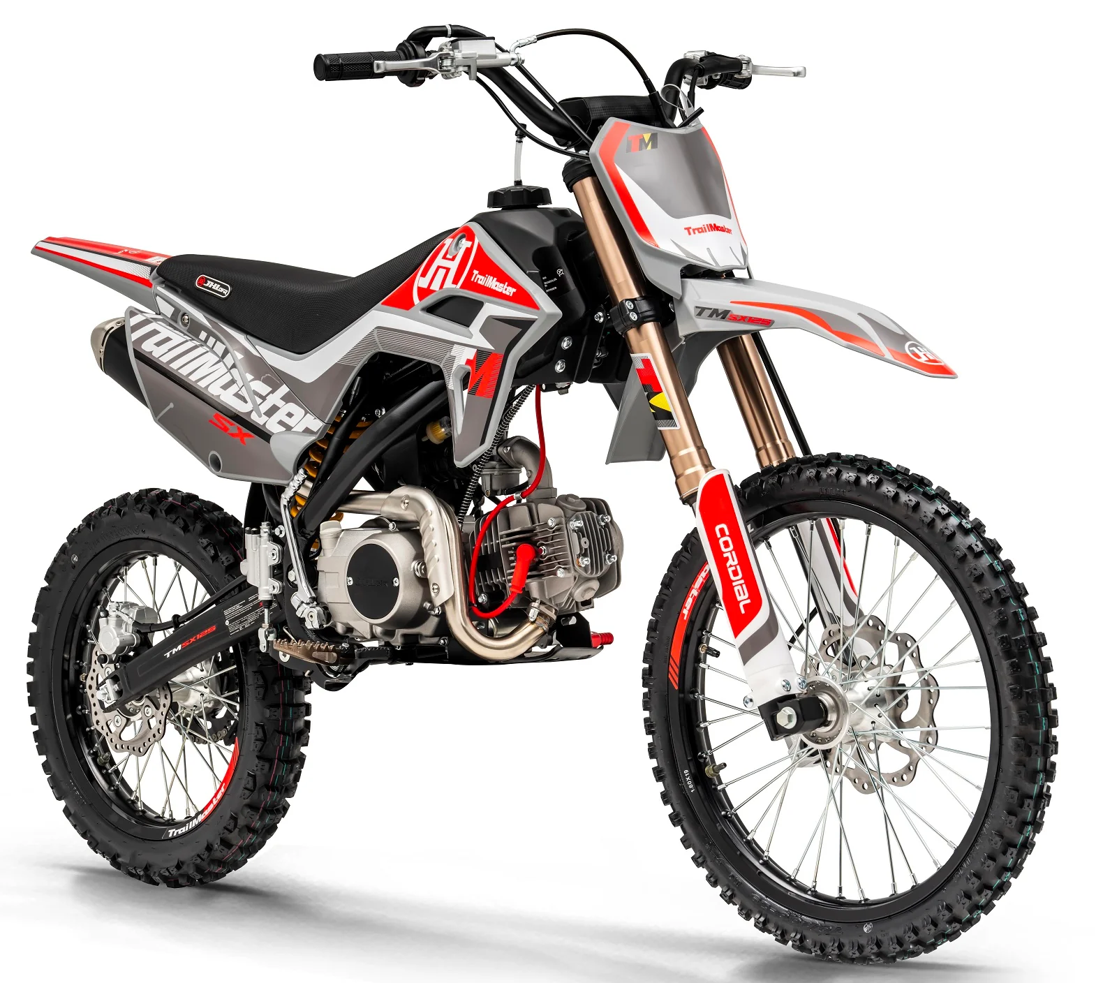 TrailMaster SX125 Pro Series Dirt Bike, Electric Start, 4-Speed Manual, Dual Disc Brakes, (19/16) Wheels - Image 12