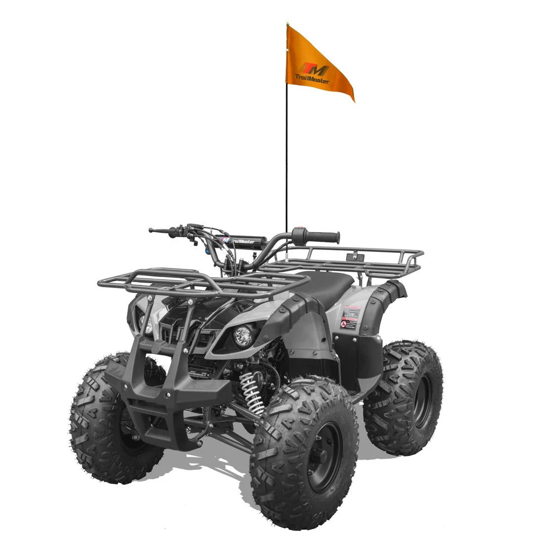 TrailMaster T125U Rancher 125cc ATV, Automatic with Reverse, Front Bumper, Front Rack, Rear Rack, Ages 9-12 - Image 13