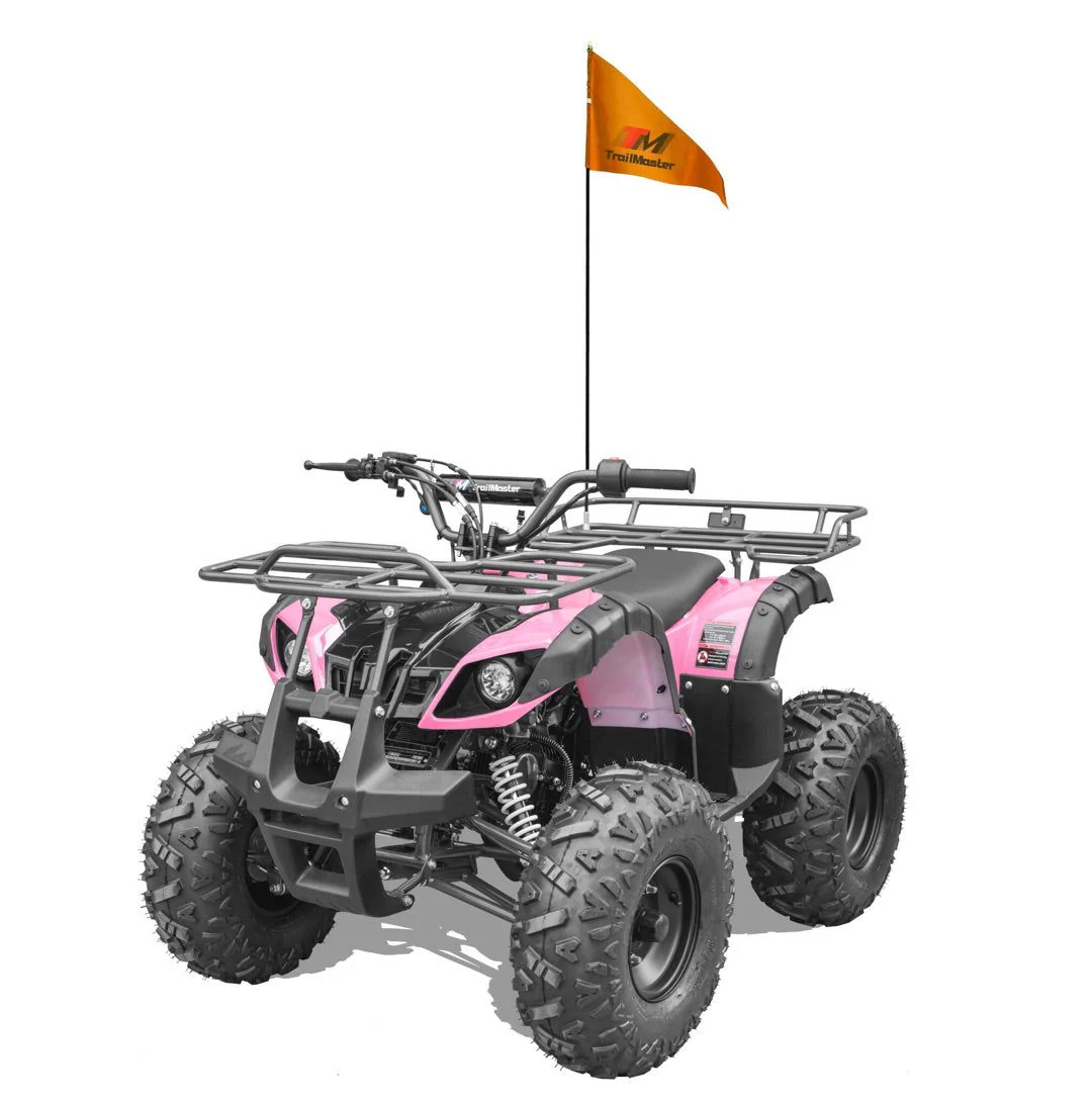 TrailMaster T125U Rancher 125cc ATV, Automatic with Reverse, Front Bumper, Front Rack, Rear Rack, Ages 9-12 - Image 14