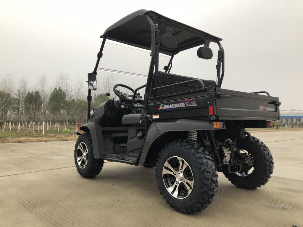 TrailMaster Taurus 200E-U EFI Gas UTV Shaft Drive, High/Low Gear Alloy Wheels, Fuel Injected - Image 18
