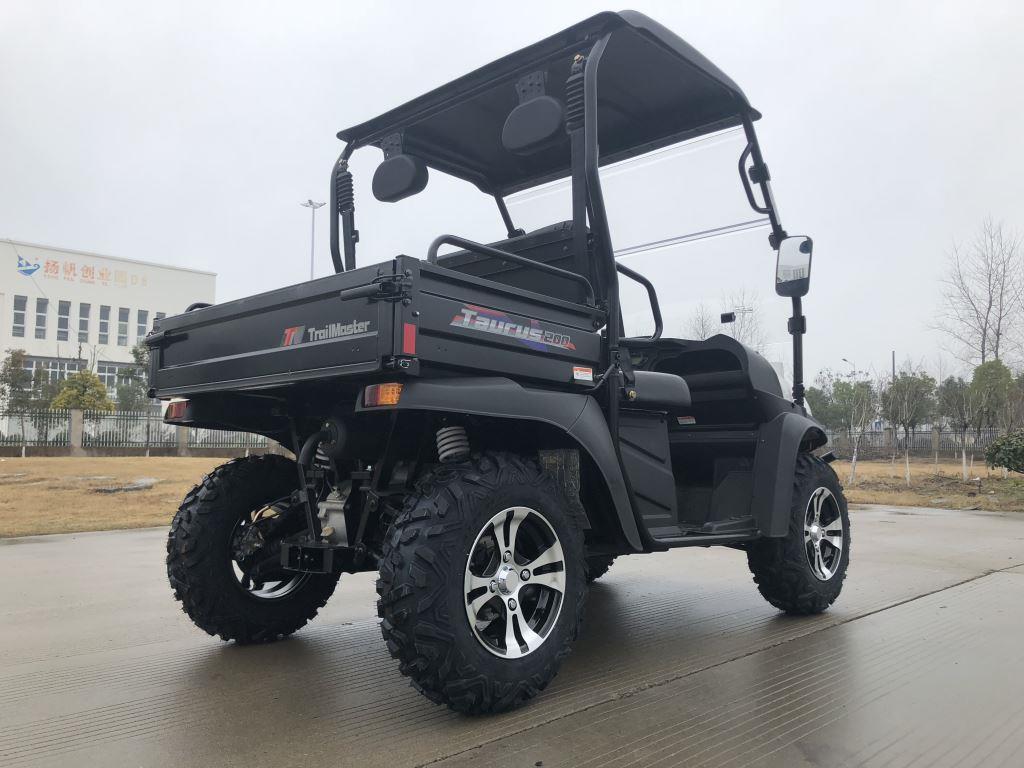 TrailMaster Taurus 200E-U EFI Gas UTV Shaft Drive, High/Low Gear Alloy Wheels, Fuel Injected - Image 22