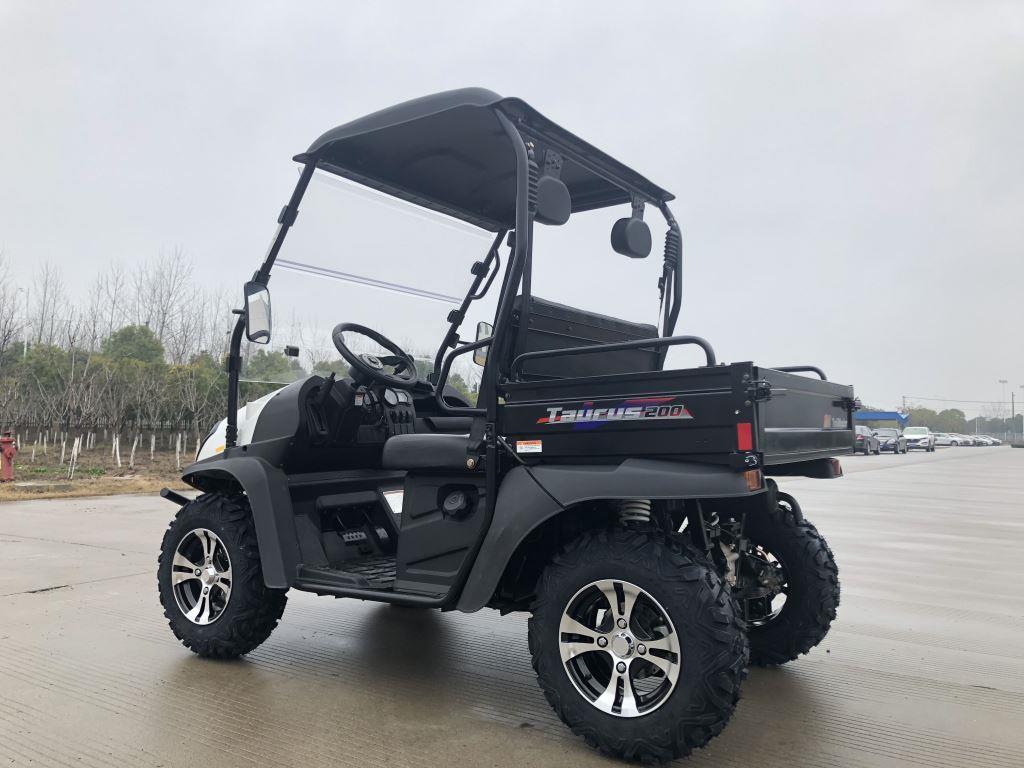 TrailMaster Taurus 200U Gas UTV High/Low Gear-Golf Cart Style UTV, Alloy Wheels - Image 20