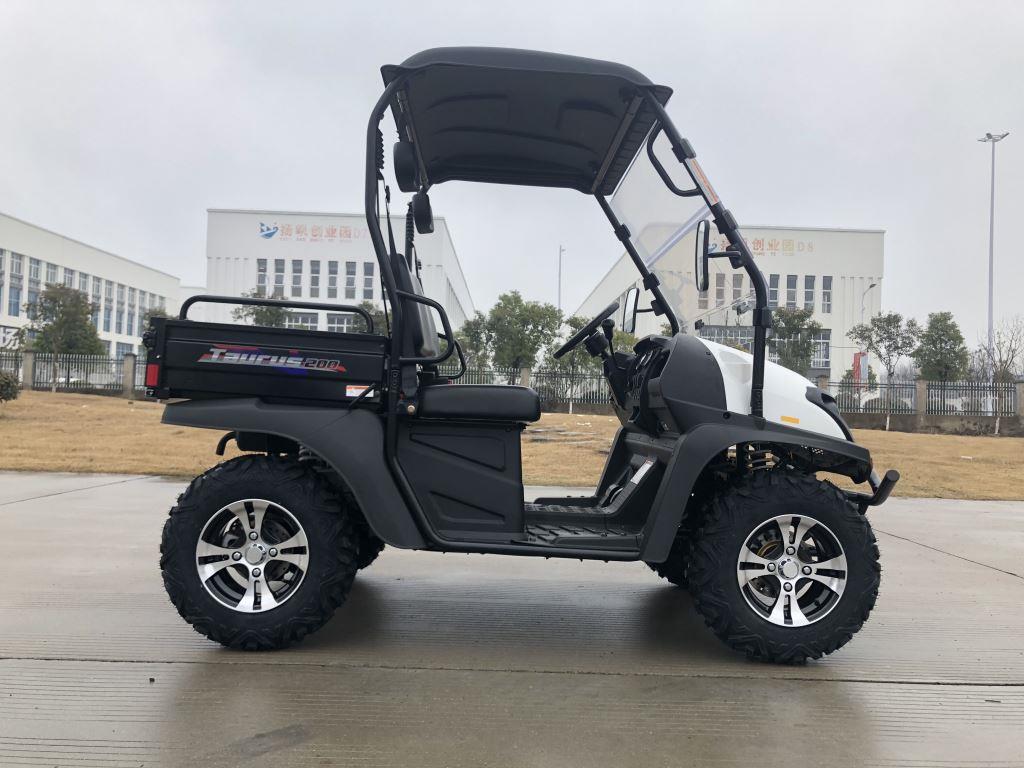 TrailMaster Taurus 200U Gas UTV High/Low Gear-Golf Cart Style UTV, Alloy Wheels - Image 23