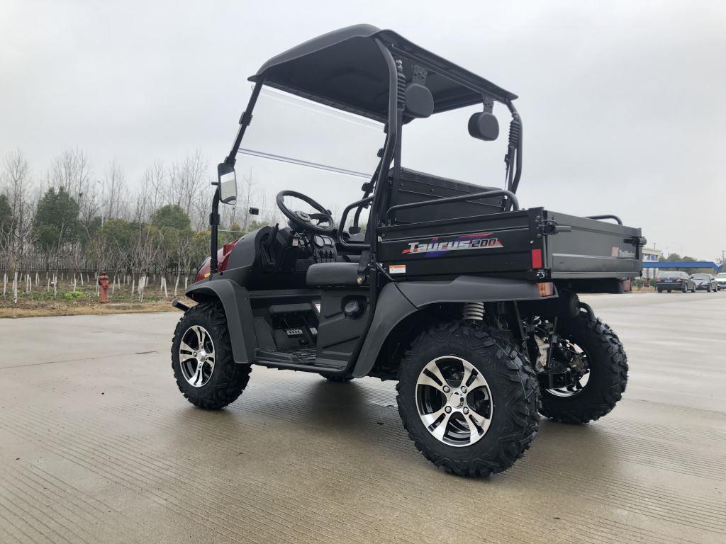 TrailMaster Taurus 200U Gas UTV High/Low Gear-Golf Cart Style UTV, Alloy Wheels - Image 27