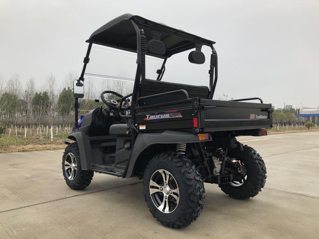 TrailMaster Taurus 200U Gas UTV High/Low Gear-Golf Cart Style UTV, Alloy Wheels - Image 35
