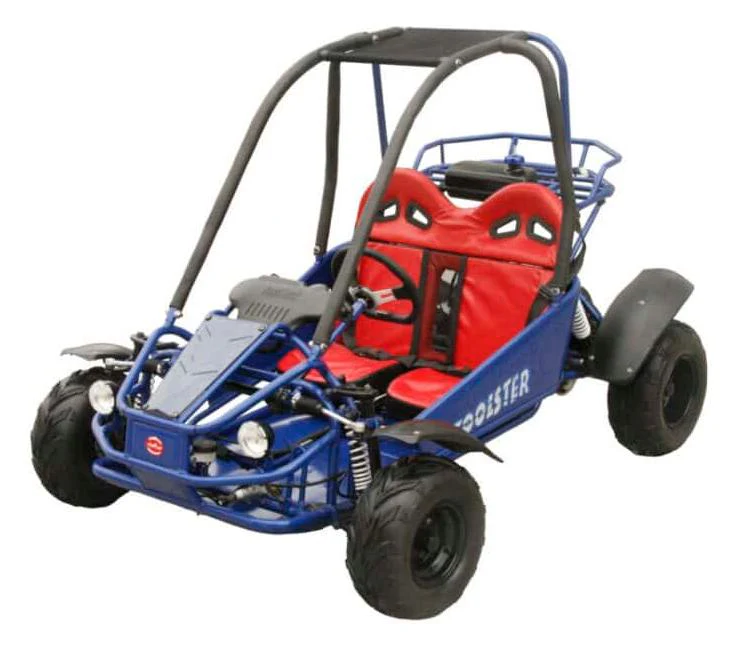 Twister 125cc Kids Gas Powered Go Kart, Electric Start, Automatic with Reverse, Ages 6 and up - Image 2