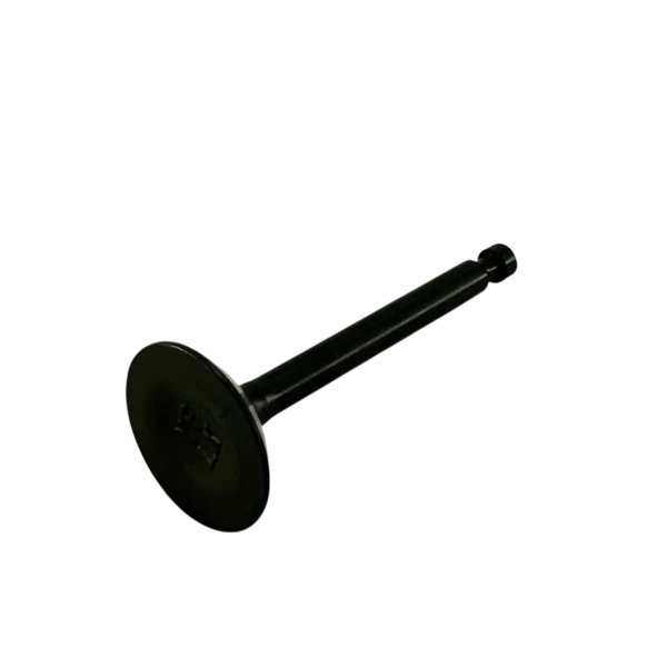 Valve, 25mm, Intake, BSP Racing ''Clone''