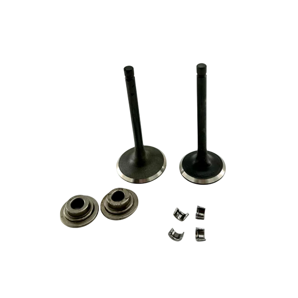 Valve Set, 420 Hemi Predator, 38/34mm