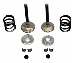 Valve & Spring Package, Stainless Steel, 212 Hemi Predator, Dual Springs with 28mm Intake