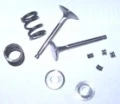Valve & Spring Package, Stainless Steel: GX200, 6.5 OHV Clone, & 212 Predator