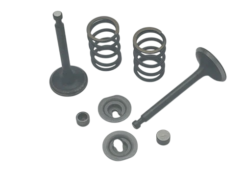Valve & Spring Package, Stock Appearing Big Valve, 6.5 OHV Clone & 212 Predator