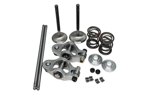 Valve Package, Hemi Predator, Big Valve with Dual Springs