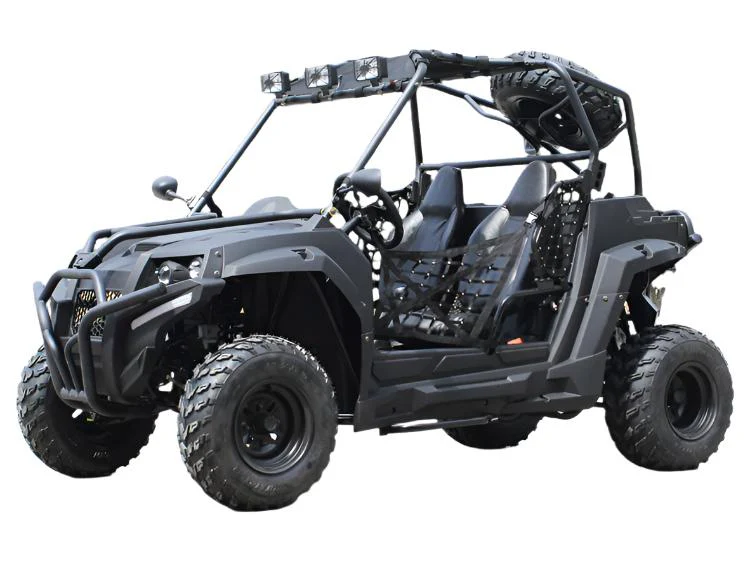 Victory 200 UTV Side-by-Side, Electric Start, Automatic with Reverse, Ages 16 and up - Image 2