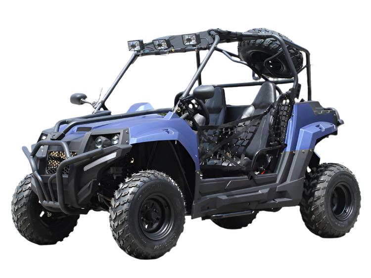 Victory 200 UTV Side-by-Side, Electric Start, Automatic with Reverse, Ages 16 and up - Image 3