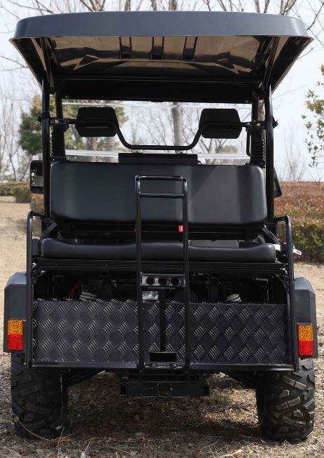Victory 450 Gas Golf Cart, Electronic Fuel Injection, 4WD, Automatic with Reverse, Deluxe Alloy Wheels, Front Winch, Windshield - Image 18