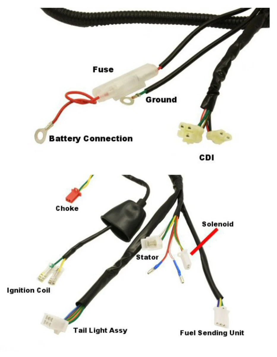 Wiring Harness for 50cc QMB139 Engine - Image 3
