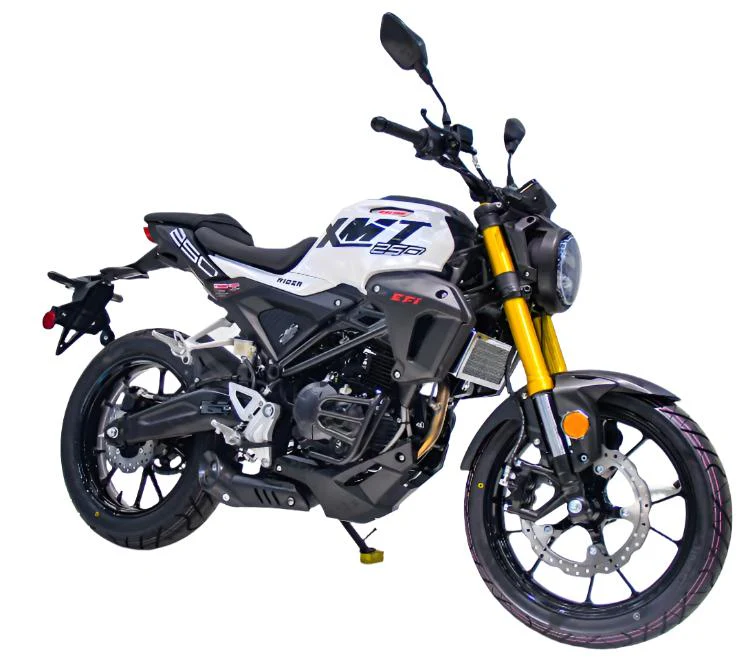 XMT 250 EFI Street Motorcycle, 6-Speed Manual - Image 2